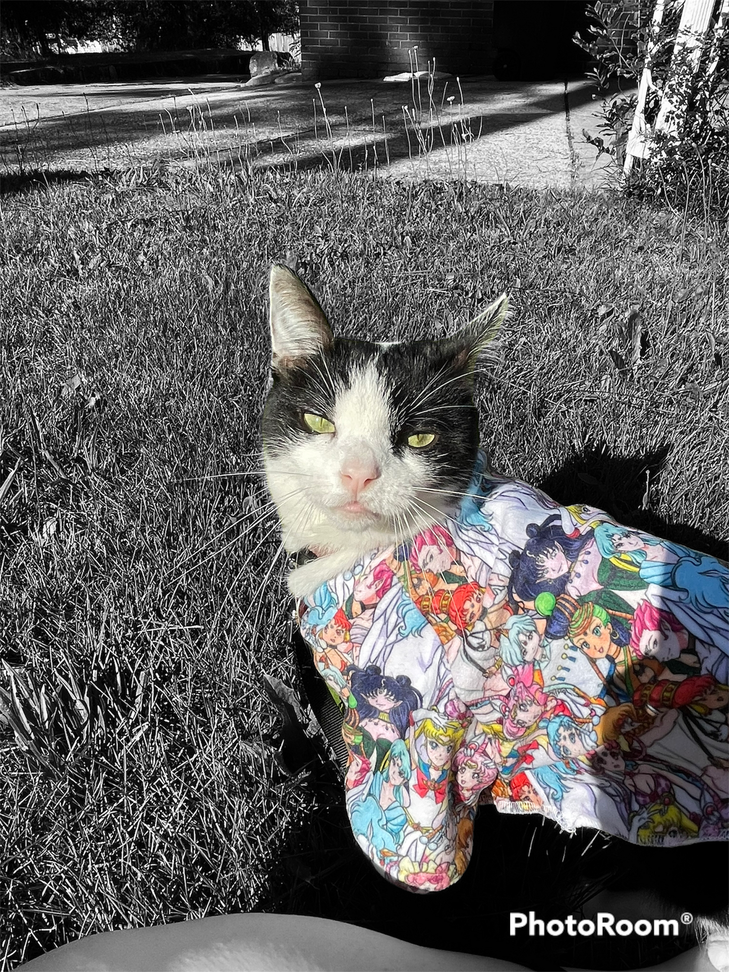 Sailor Dreamers Double Minky