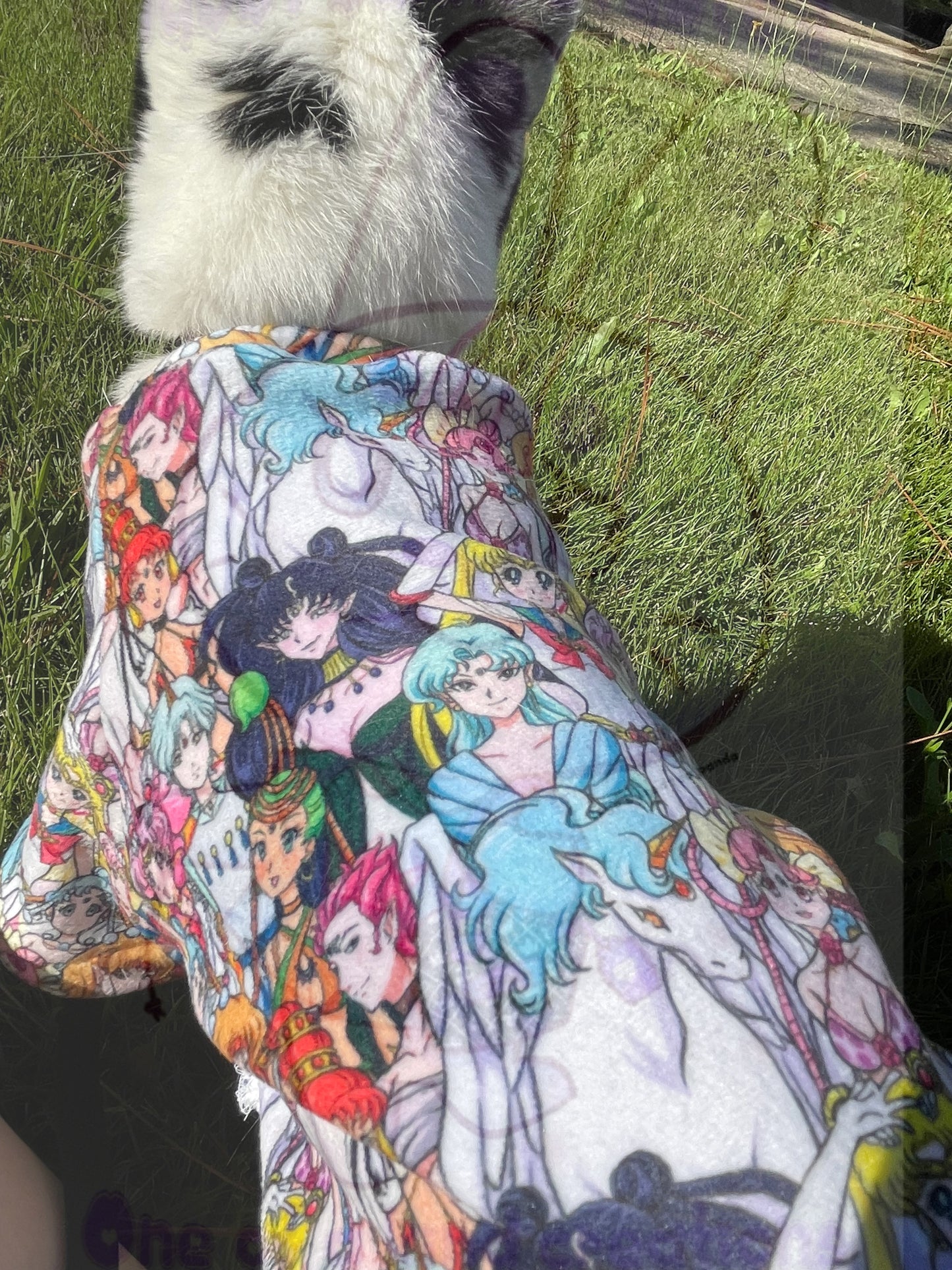 Sailor Dreamers Double Minky