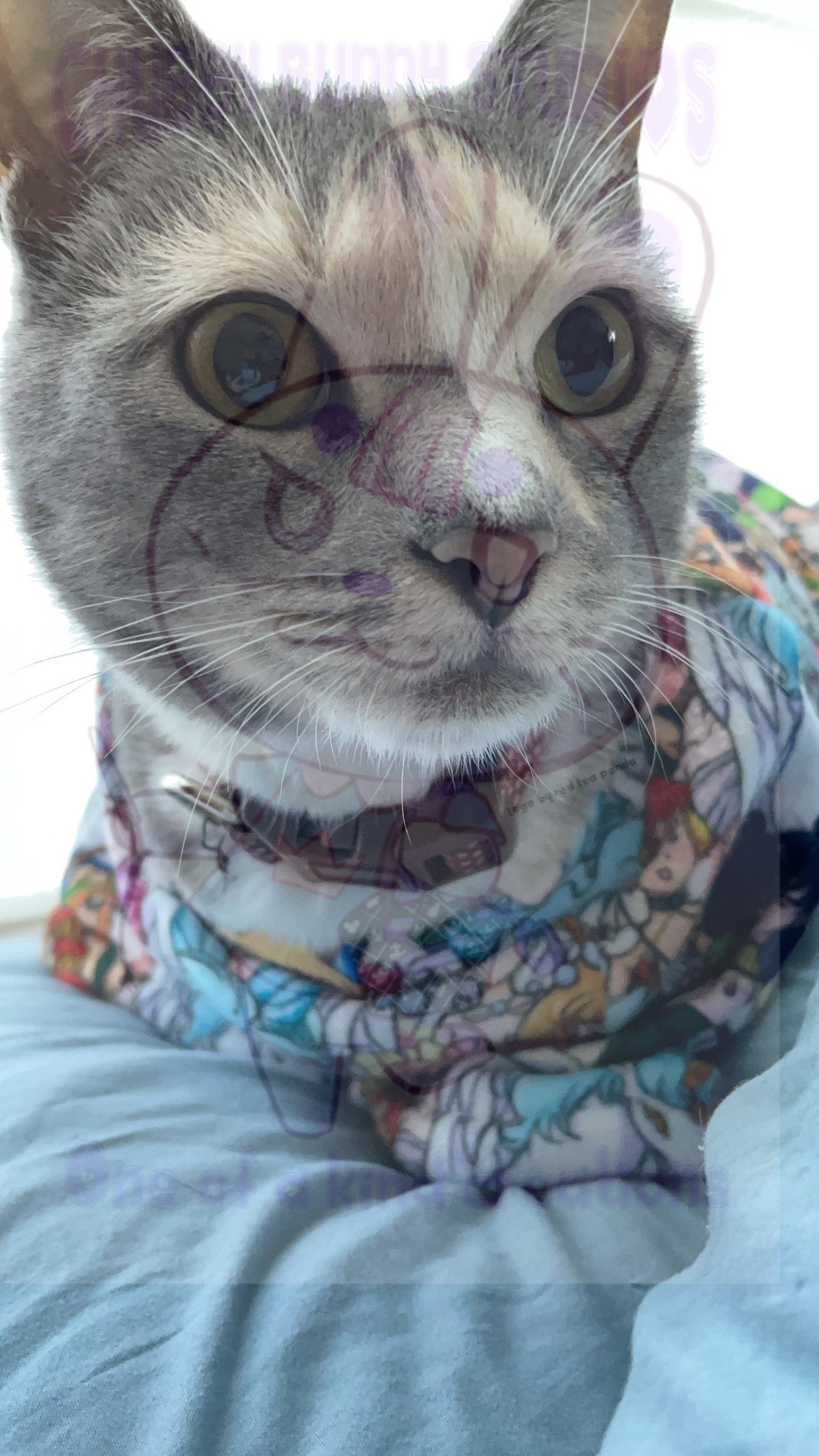Sailor Dreamers Double Minky