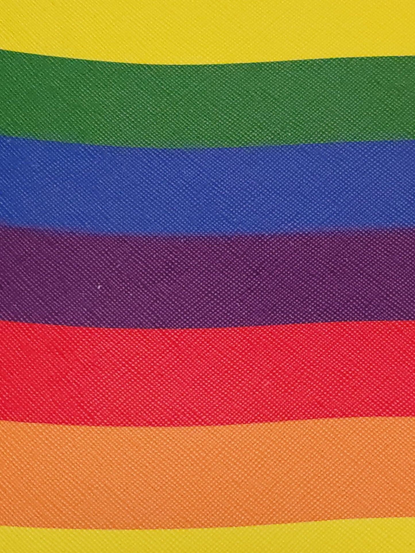 Rainbow Vinyl